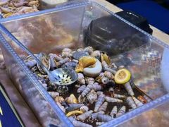 -凤城·食都