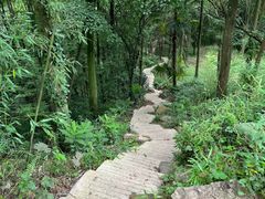 -龙窝子