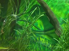 -上海海洋水族馆