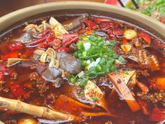 -青城甲(青城山店)