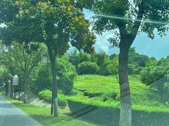 -天目湖涵田度假村