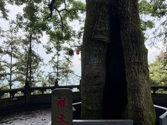 -安溪清水岩
