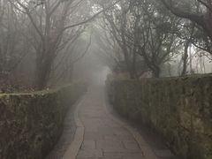 -普陀山风景区-佛顶山