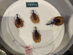 -陕西自然博物馆