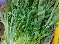 野菜-岳记兴隆·青城腊排铜火锅(融创店)