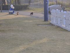-梁鸿国家湿地公园