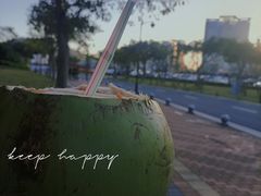 -野狸岛