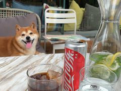 -the rug 飞毯 (朝阳公园店)