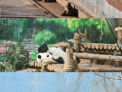 -青藏高原野生动物园