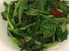-清雅轩·清真菜·传统菜•融合菜(滑翔店)