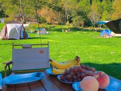 -武陵山森林公园