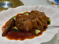 -丁老爷子苏香圆