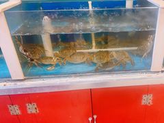 -天津乾毓德饭庄·清真传统炒菜·海鲜烧烤(咸阳路店)