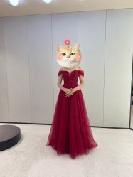 -MISS MIA 婚纱品牌馆