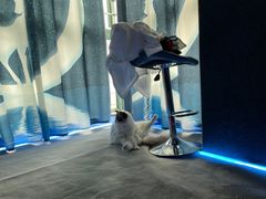 -零纪元VR体验馆·桌游(黄浦店)