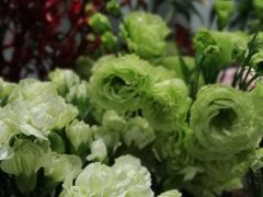 -BOBLOOM花店(宝龙旭辉广场店)