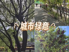 -皇家御河游(紫御湾码头)