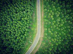 -塞罕坝国家级自然保护区