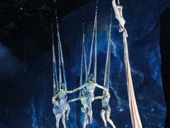 -重庆国际马戏城