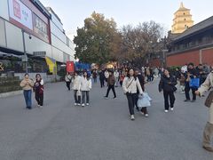 -大慈恩寺(大雁塔)