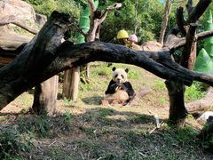 -广州长隆野生动物世界