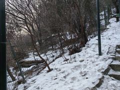 -香山公园