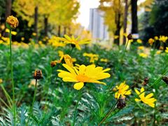 -苏州河梦清园环保主题公园