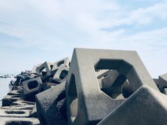 -东疆建设开发纪念公园