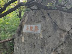-阳台山自然风景区