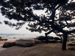 -日照灯塔风景区