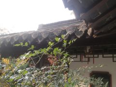 -梅园