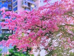 -宝能·all city(南山店)