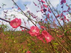 -白水带风景区体育公园