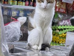 -丹桂轩(罗湖火车站店)
