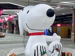 -哈尔滨热雪奇迹