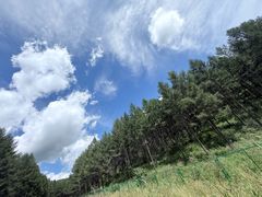 -塞罕坝国家级自然保护区