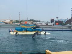 -秦皇岛乐岛海洋王国