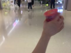 -蜜雪冰城(陆家嘴店)