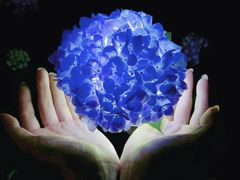 -常州古运河南大街文化旅游区-人民公园