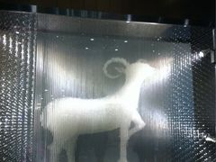 门口-新兴·金羊座·粤菜点心(乐峰店)