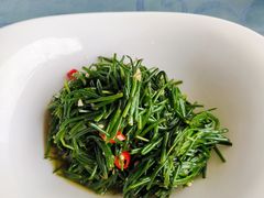 炝拌沙葱-老毛手抓·盐池滩羊非遗手抓(宁夏总店)
