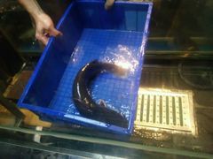 -鱼酷活鱼烤鱼(恒隆广场店)