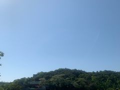 -芦仙山景区-飞越丛林探险乐园