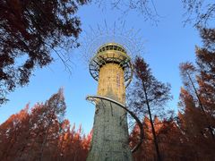 -黄海国家森林公园