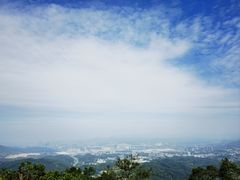-黄埔油麻山森林公园