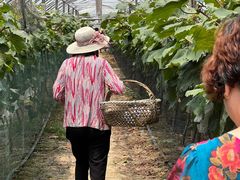 -马陆小张葡萄园农家乐