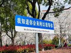 -高东镇樱花园