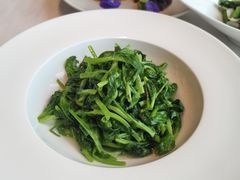 豌豆苗-成都海湾酒店·海湾壹品中餐厅(远大购物中心店)