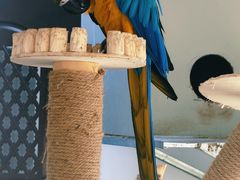 -青藏高原野生动物园