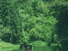 -龙苍沟森林公园